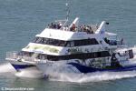 ID 6111 TIRI KAT - operated by 360 Discovery Cruises of Auckland, New Zealand, this twin engined catamaran has a fully enclosed main lower cabin, open rear deck and a mid deck half enclosed, half open. The...
